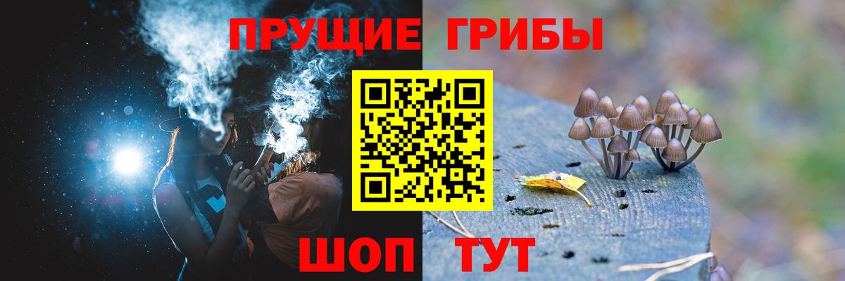 Псилоцибиновые грибы Magic Shrooms Россия